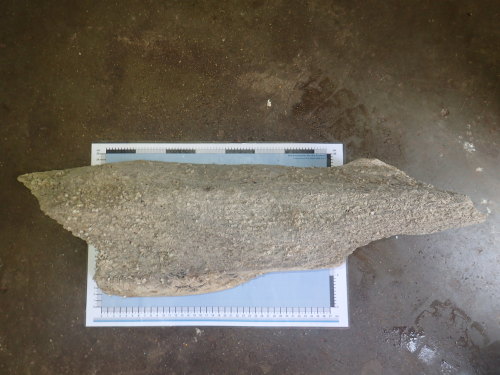 A resized image of MAS-F100110; East Sussex; Timber;  Image 1of 4.