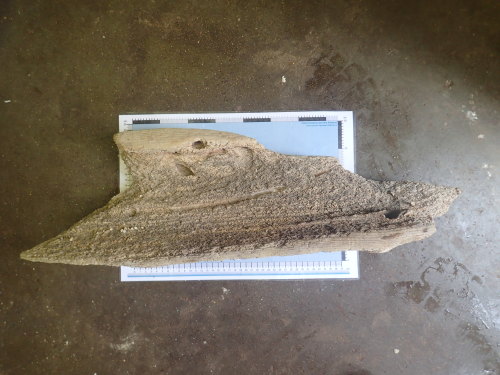 A resized image of MAS-F100110; East Sussex; Timber;  Image 2 of 4.